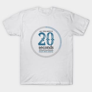 All You Need Is 20 Seconds T-Shirt